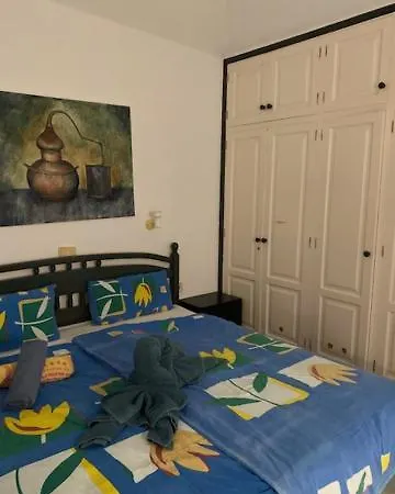 Ojos 查德尔帕罗奥